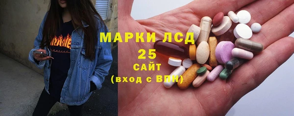 крисы Алзамай