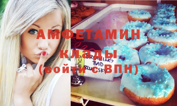 индика Абаза