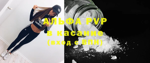 индика Абаза