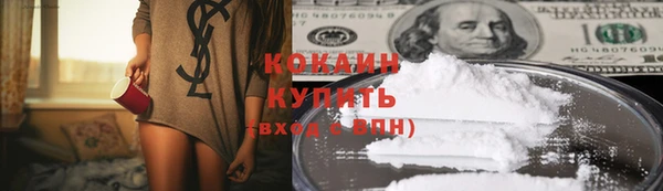 индика Абаза