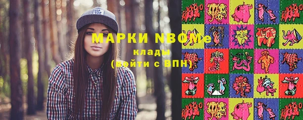 крисы Алзамай