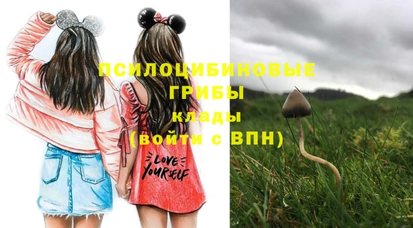 ГАЛЛЮЦИНОГЕННЫЕ ГРИБЫ Абинск