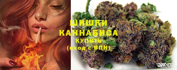 ГАЛЛЮЦИНОГЕННЫЕ ГРИБЫ Абинск