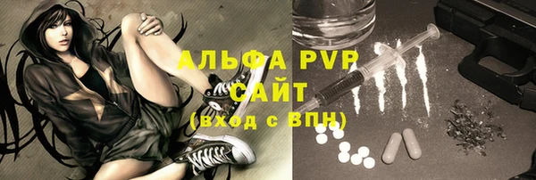индика Абаза
